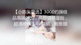 【小陈头星选】3000约操极品高端外围，高颜值明星脸，超清晰镜头AV视角，鲍鱼插入细节清晰可见