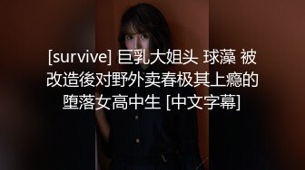 [survive] 巨乳大姐头 球藻 被改造後对野外卖春极其上瘾的堕落女高中生 [中文字幕]