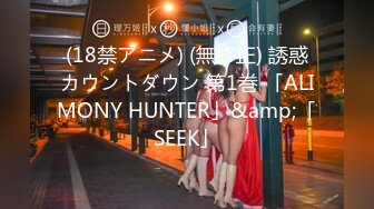 (18禁アニメ) (無修正) 誘惑カウントダウン 第1巻 「ALIMONY HUNTER」&amp;「SEEK」