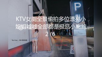 KTV女厕全景偷拍多位漂亮小姐姐嘘嘘全部都是极品小嫩鲍2 (6 