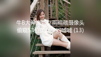 牛B大神商场女厕暗藏摄像头偷窥53位美女少妇嘘嘘 (13)