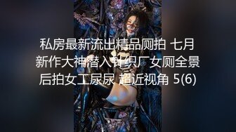 私房最新流出精品厕拍 七月新作大神潜入针织厂女厕全景后拍女工尿尿 超近视角 5(6)