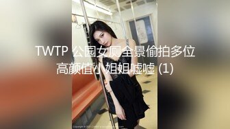 TWTP 公园女厕全景偷拍多位高颜值小姐姐嘘嘘 (1)